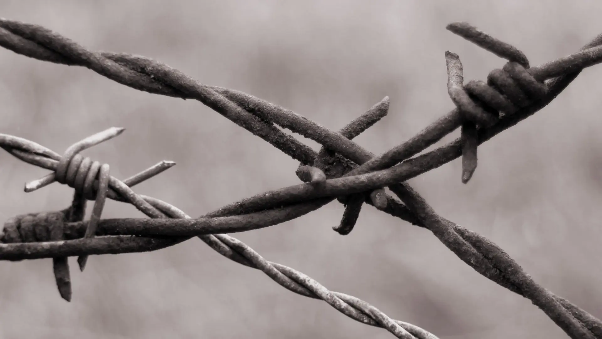 Barbed wire